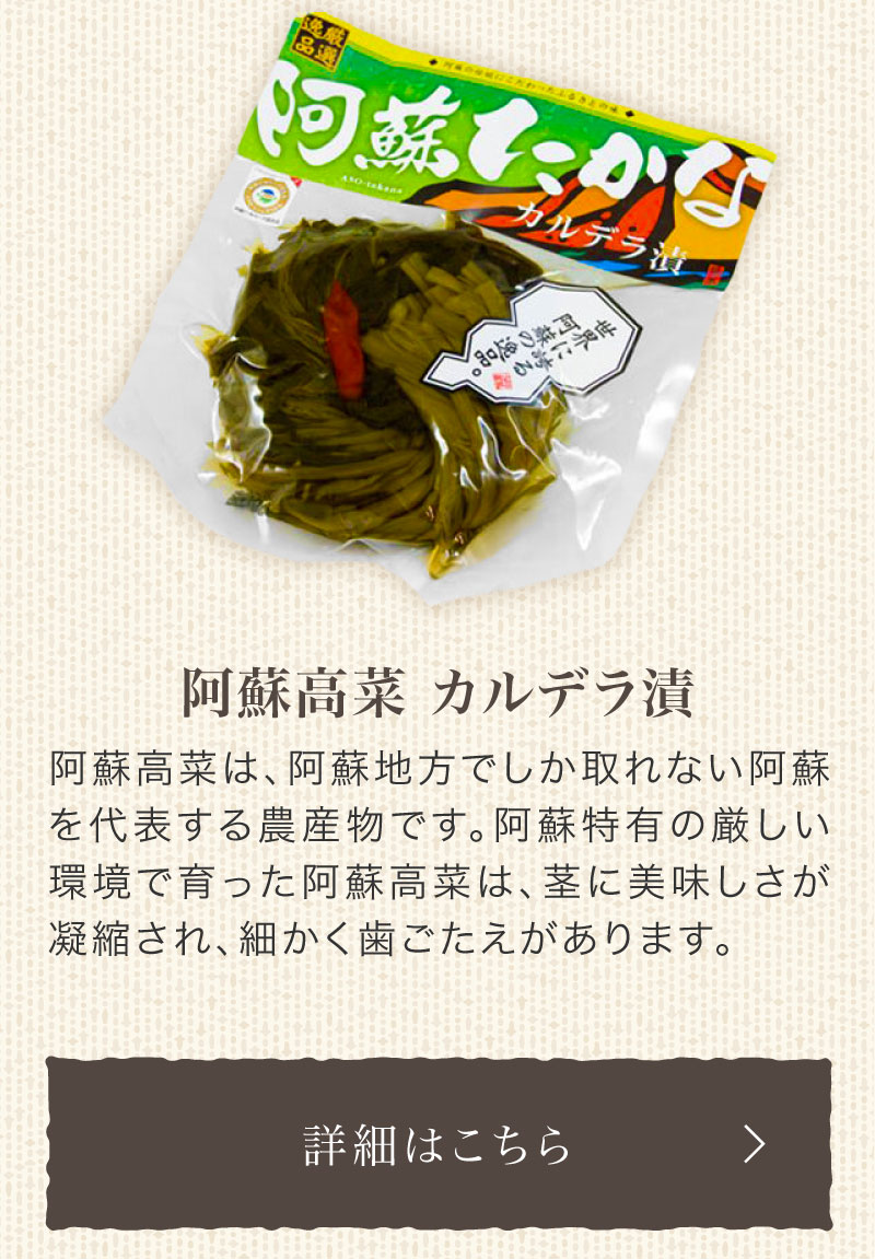 阿蘇高菜 カルデラ漬