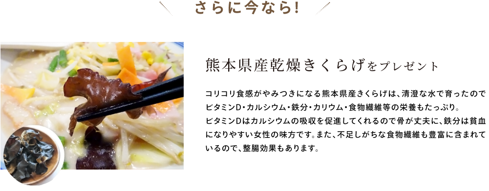 さらに今なら! 熊本県産乾燥きくらげをプレゼント コリコリ食感がやみつきになる熊本県産きくらげは、清澄な水で育ったのでビタミンD・カルシウム・鉄分・カリウム・食物繊維等の栄養もたっぷり。ビタミンDはカルシウムの吸収を促進してくれるので骨が丈夫に、鉄分は貧血になりやすい女性の味方です。また、不足しがちな食物繊維も豊富に含まれているので、整腸効果もあります。